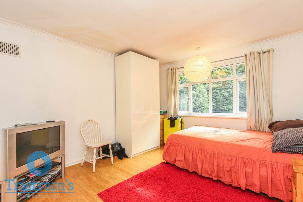Thumbnail 12