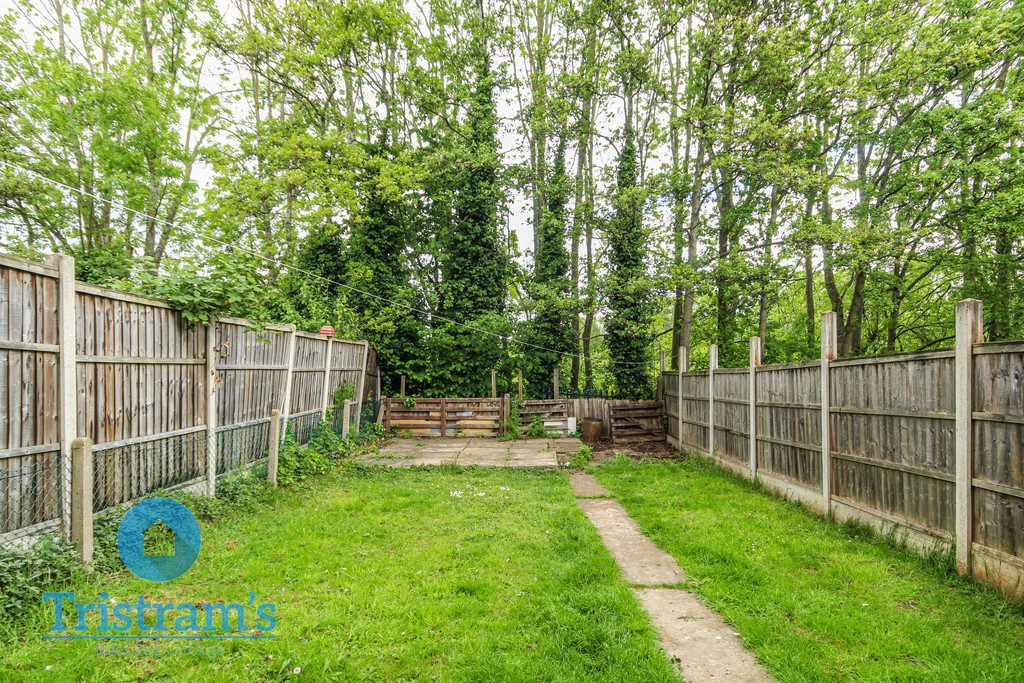 Thumbnail 14