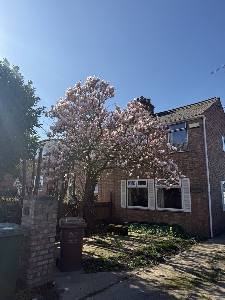 Semi-Detached