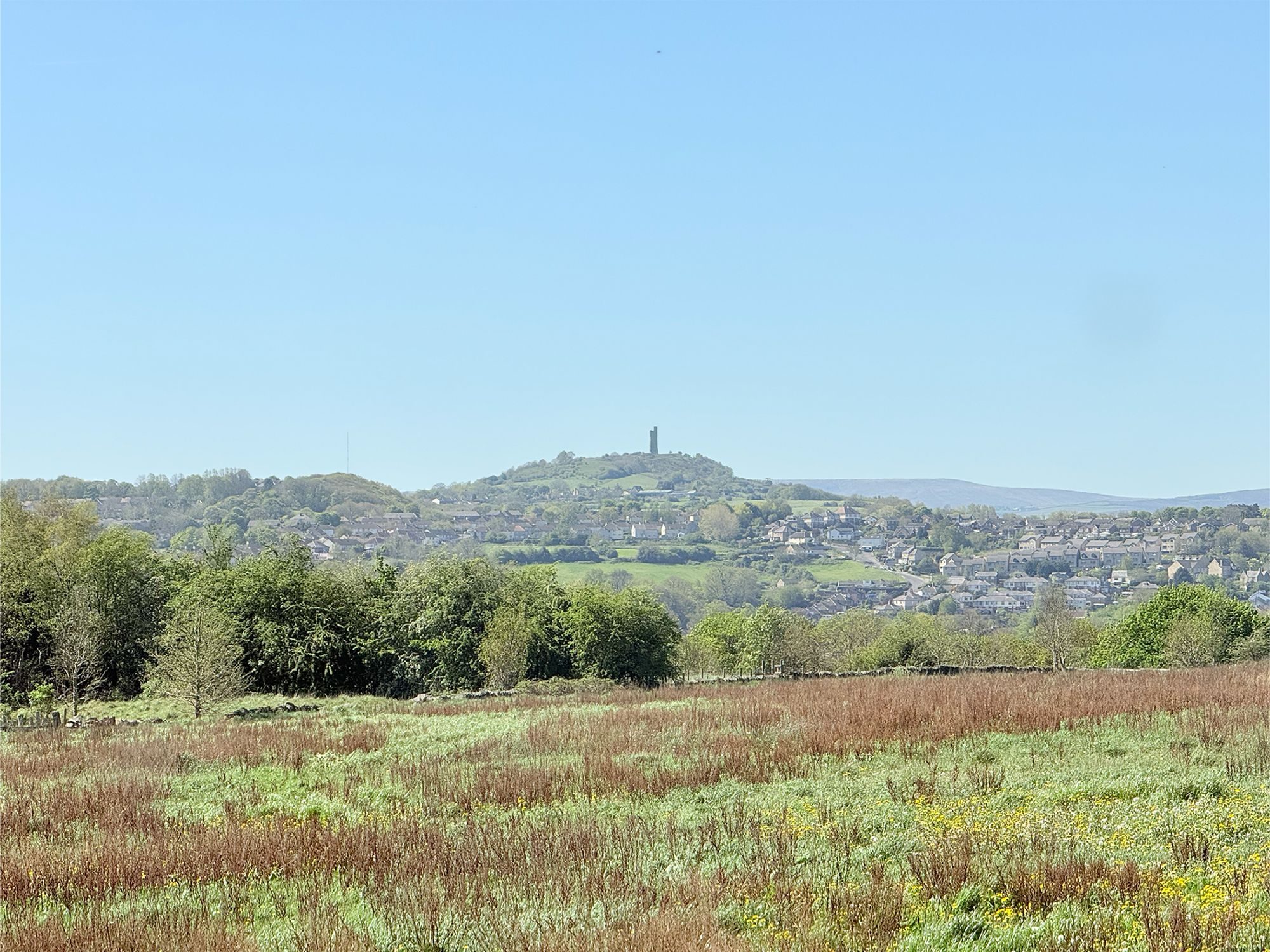 Thumbnail 12