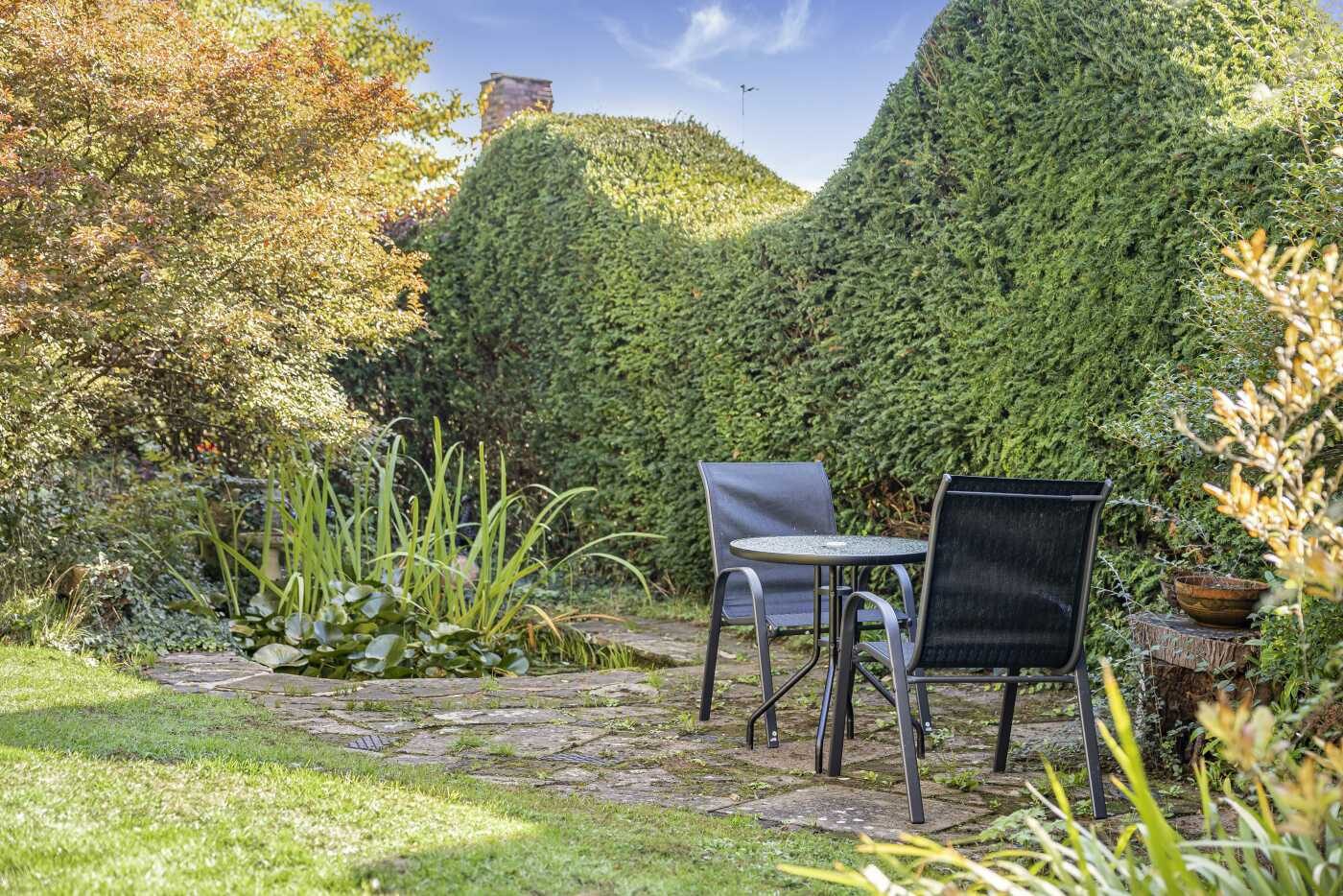 Thumbnail 23