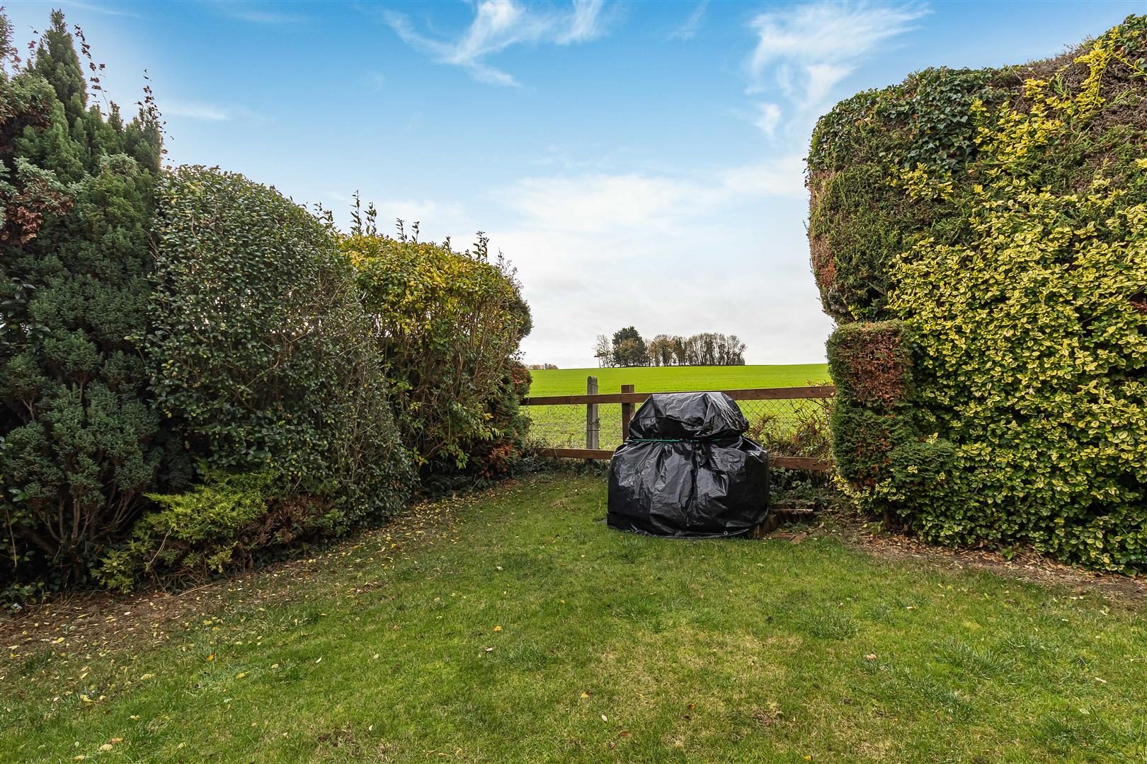 Thumbnail 18