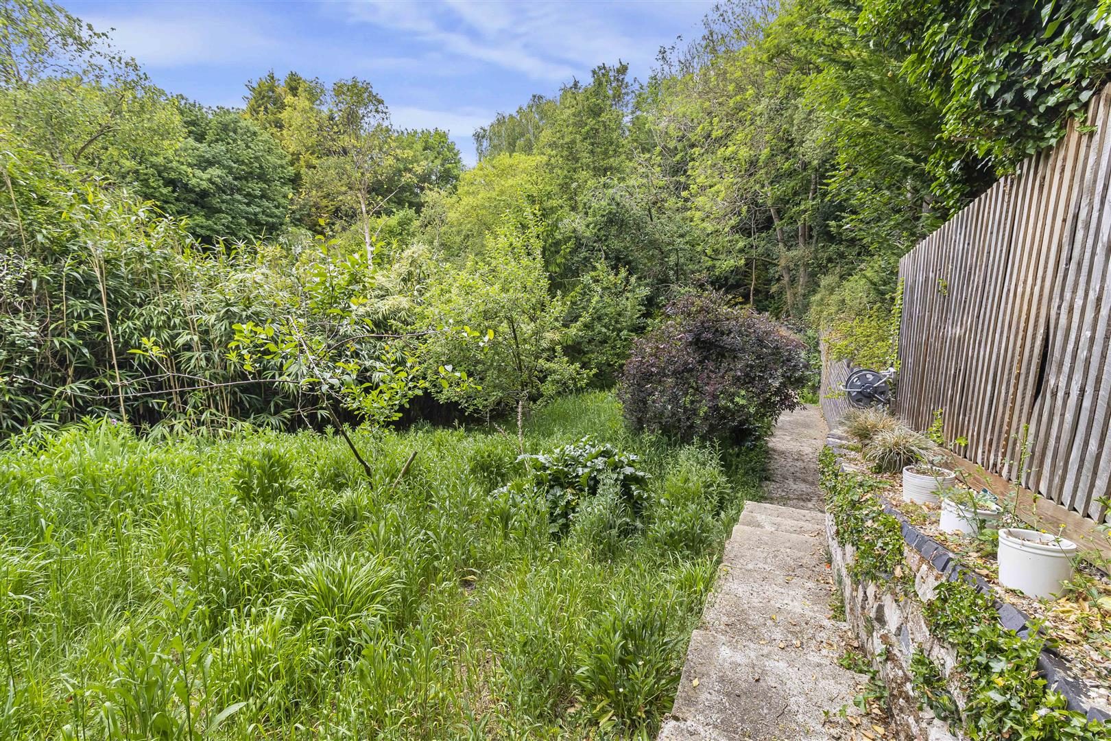 Thumbnail 27
