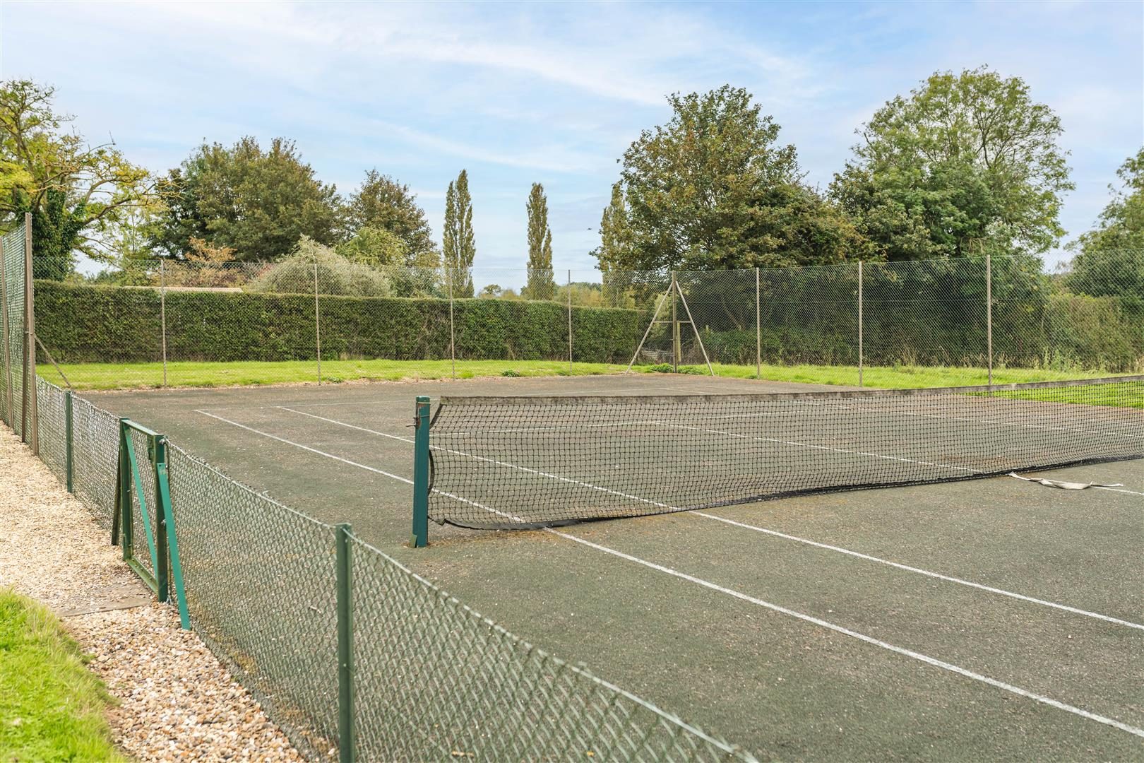 Thumbnail 29