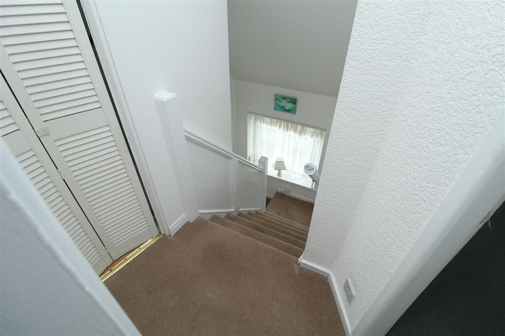 Thumbnail 15