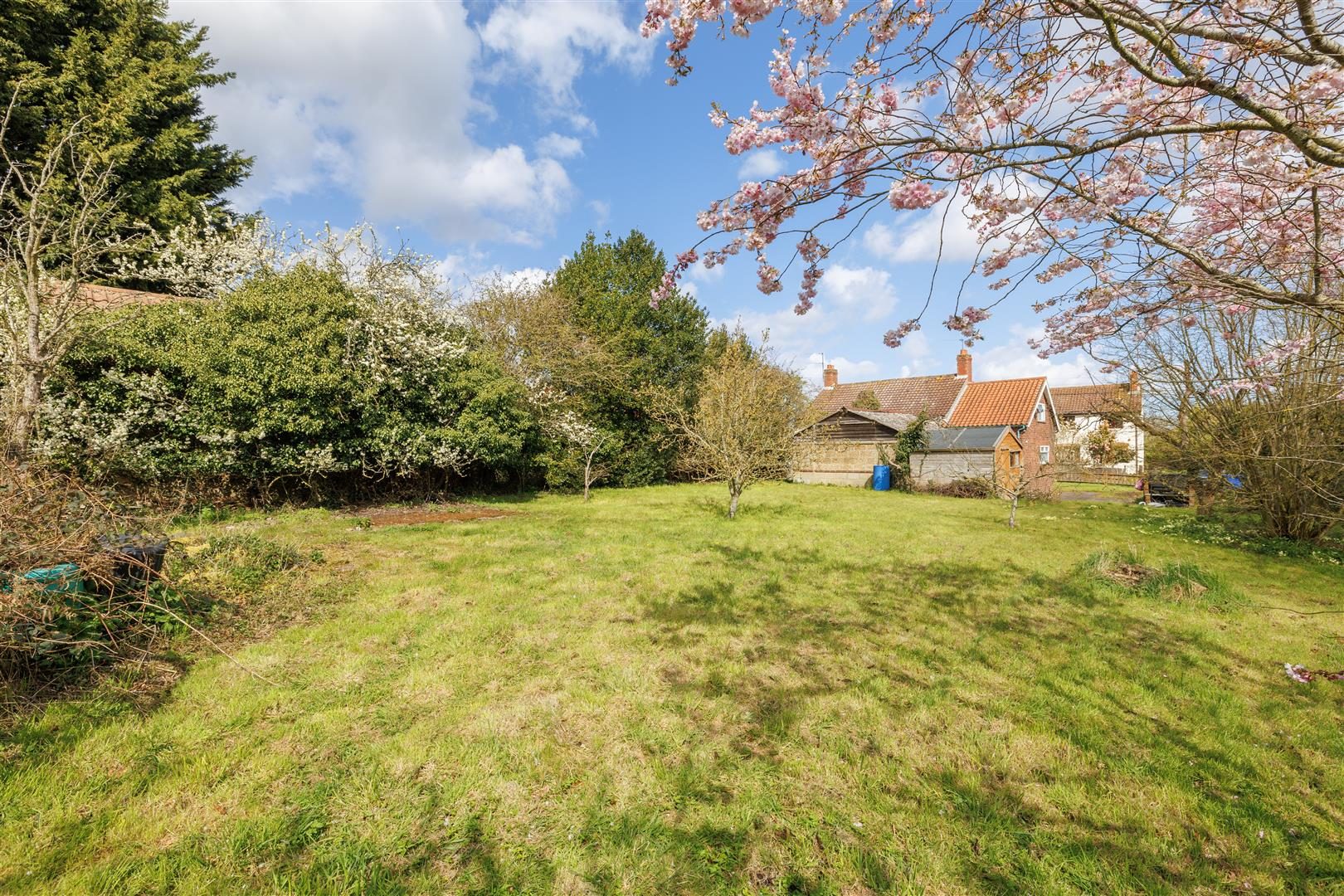Thumbnail 11