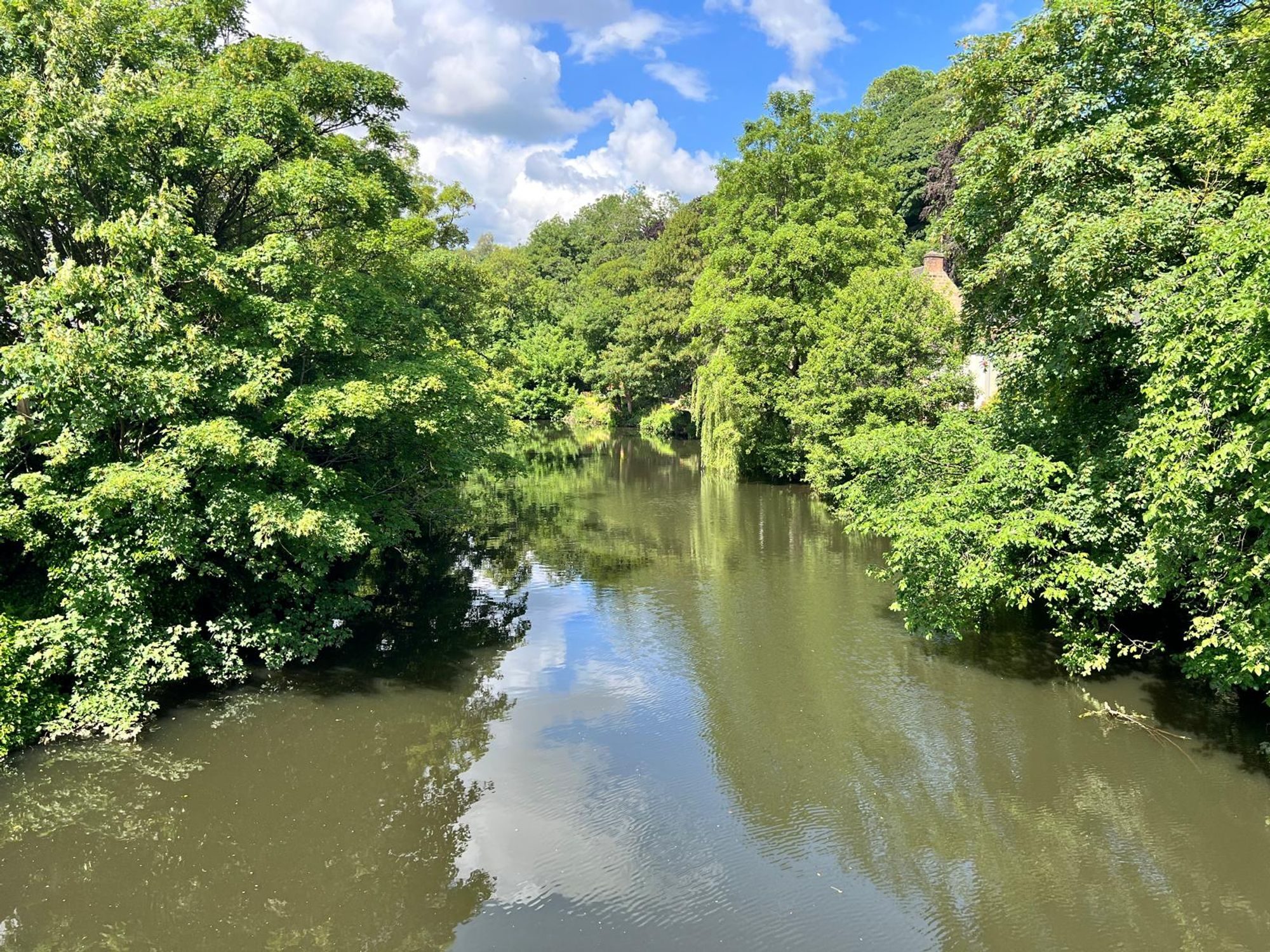 Thumbnail 19