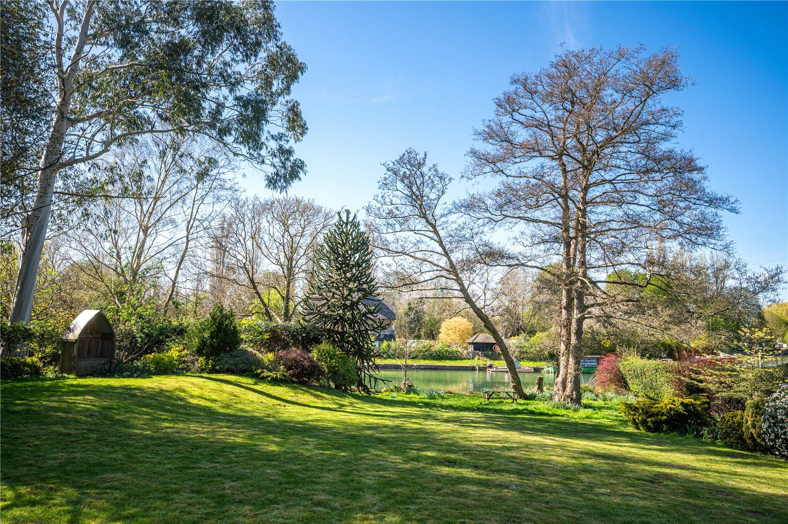 Thumbnail 10