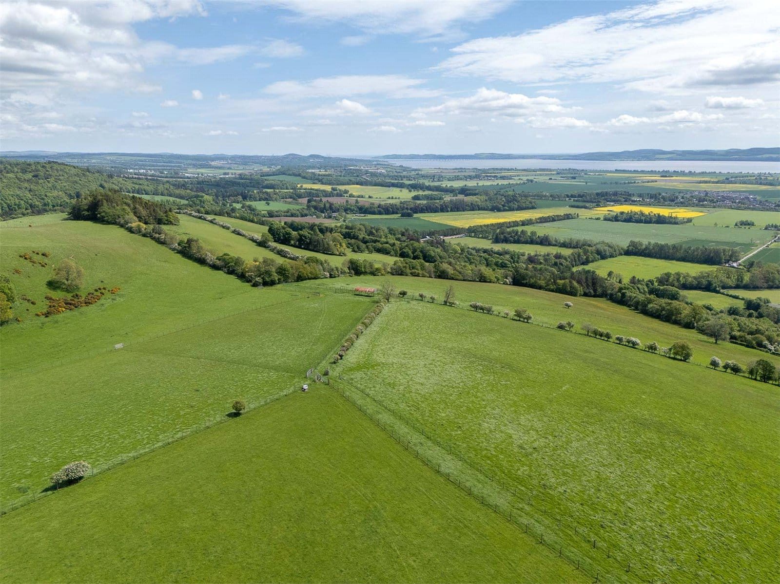 Thumbnail 2136