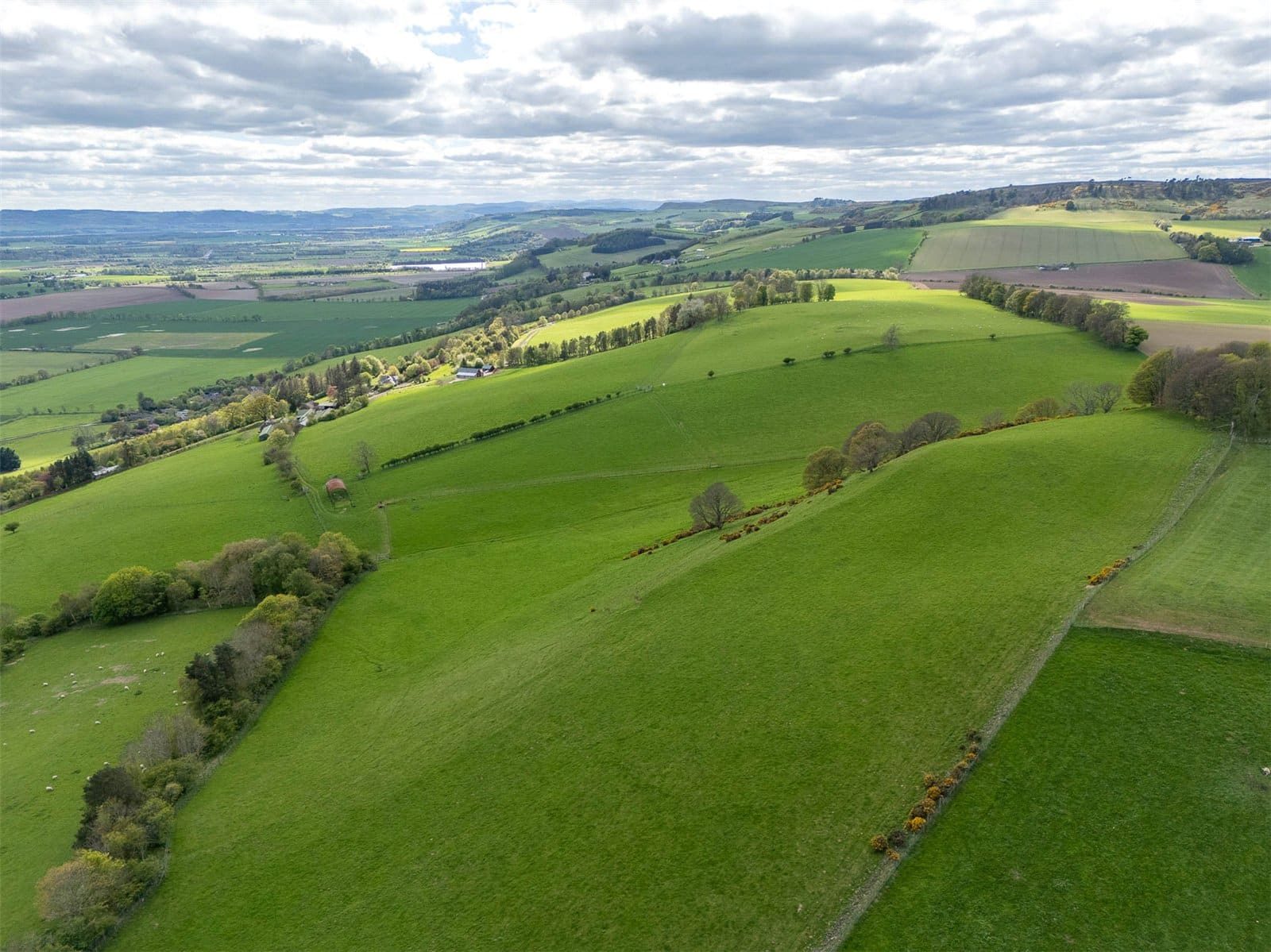 Thumbnail 3561