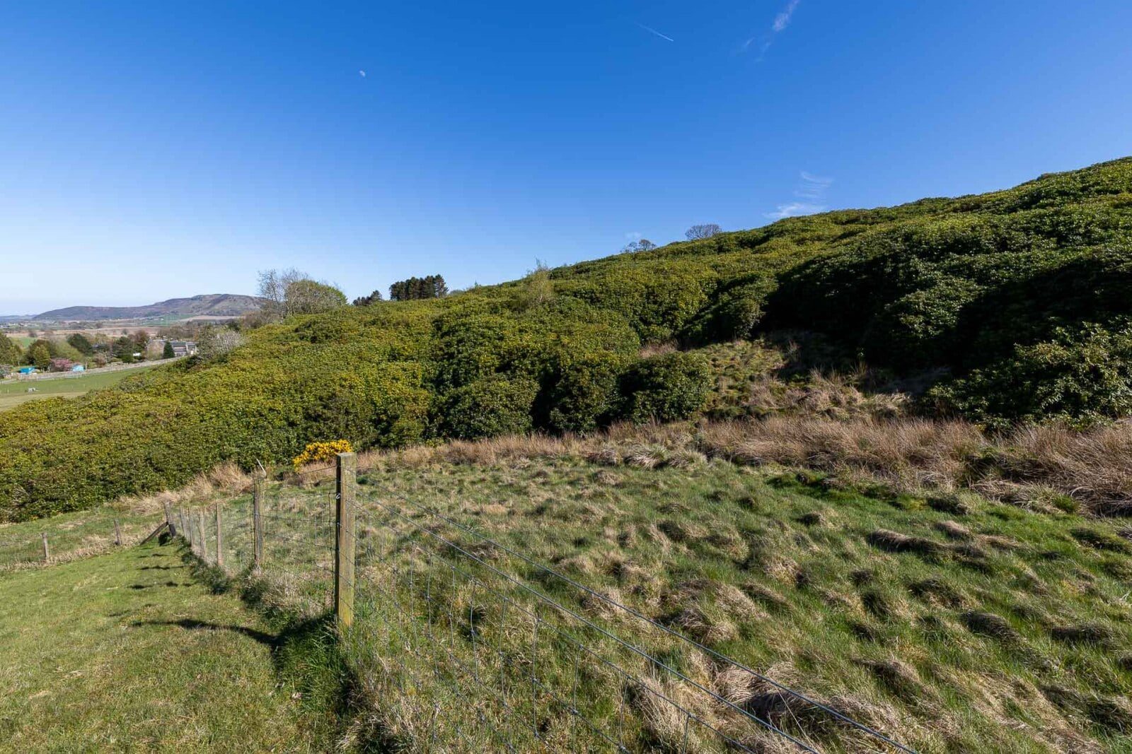 Thumbnail 2879