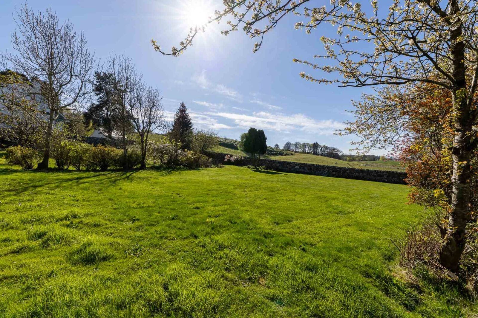 Thumbnail 4040