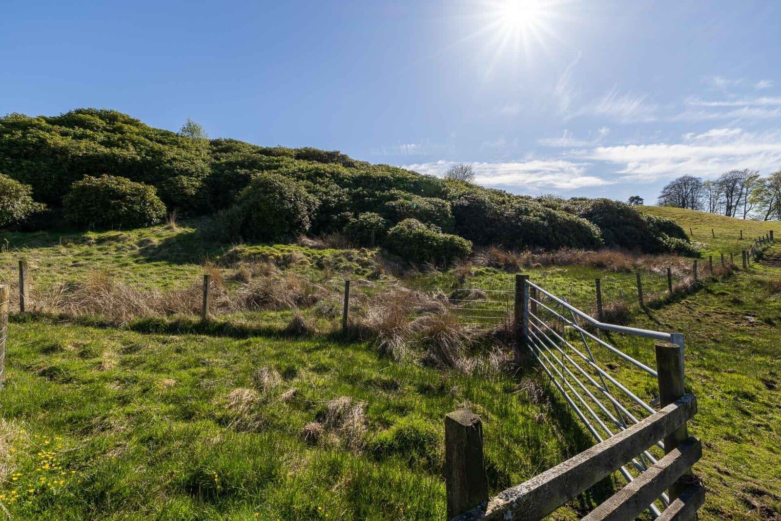 Thumbnail 4524