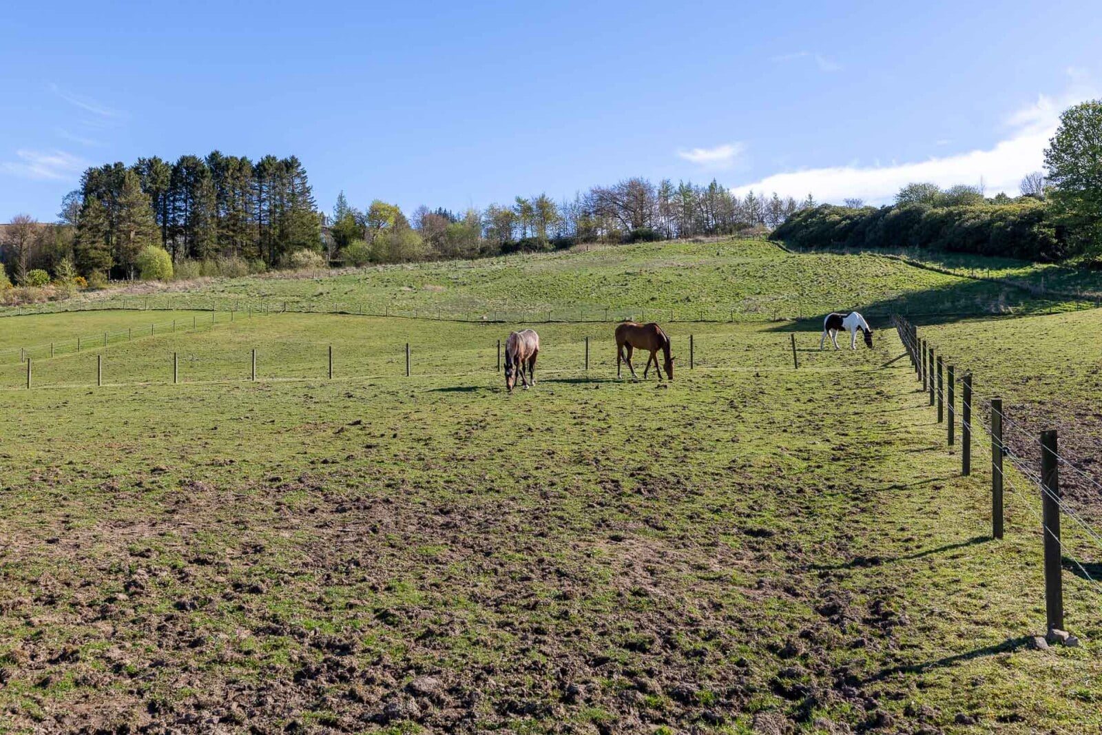 Thumbnail 2293