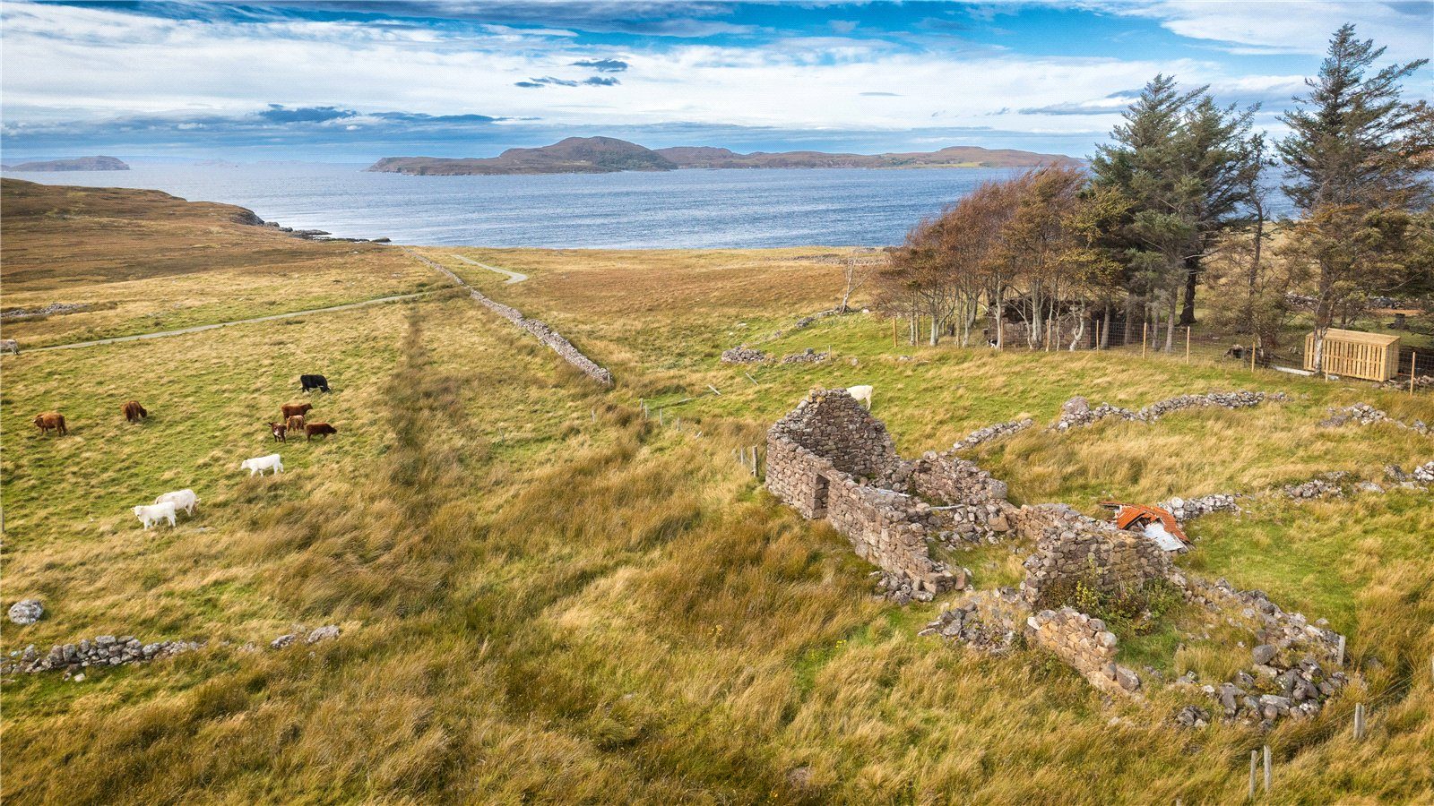 Thumbnail 17