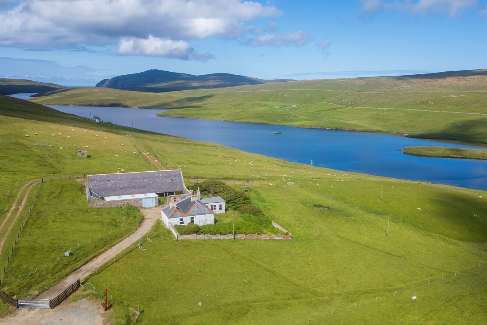 Thumbnail 351
