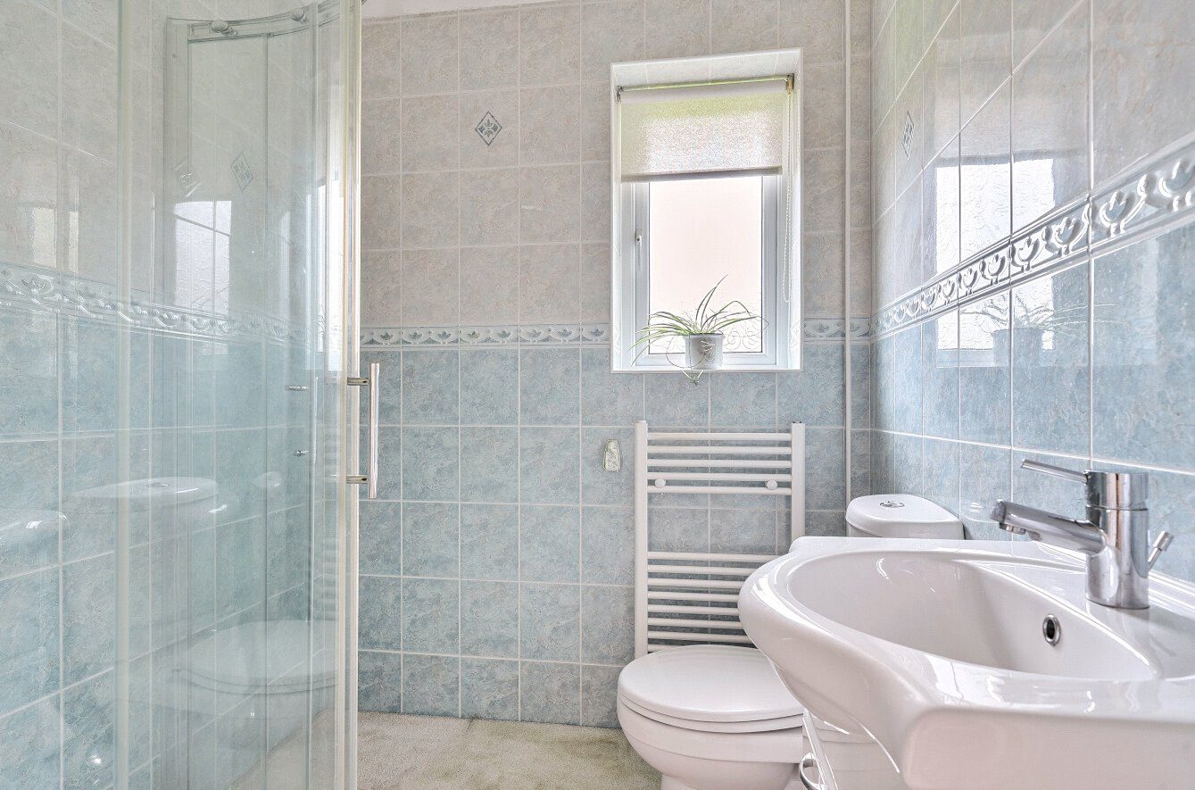 Thumbnail 13