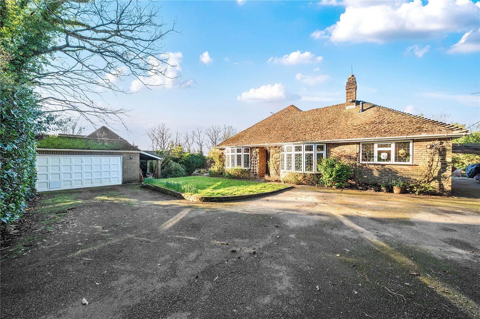 Thumbnail 22