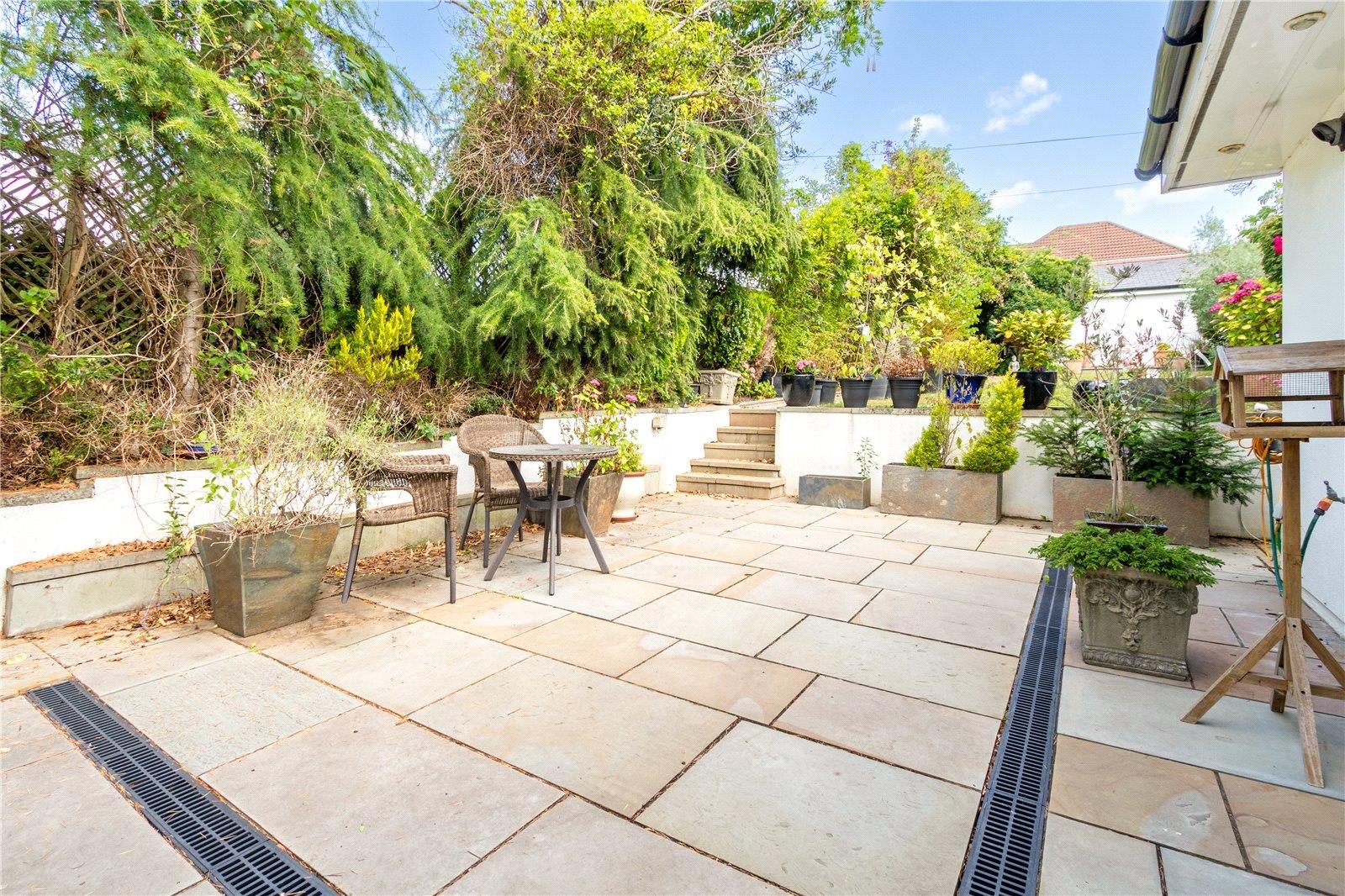 Thumbnail 13