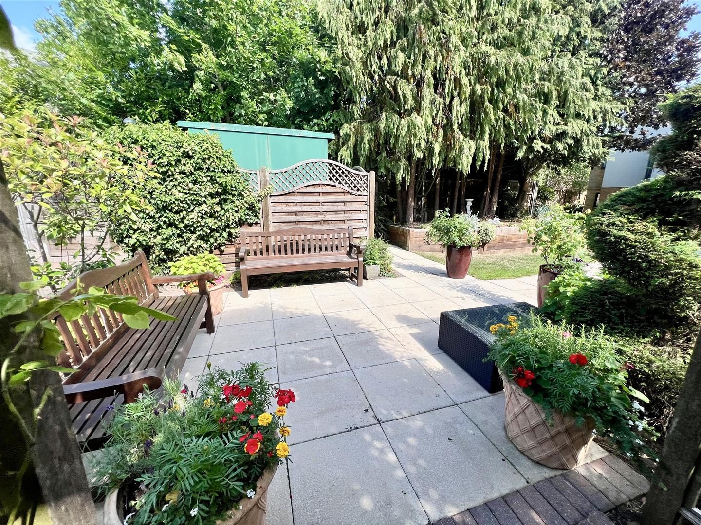 Thumbnail 12