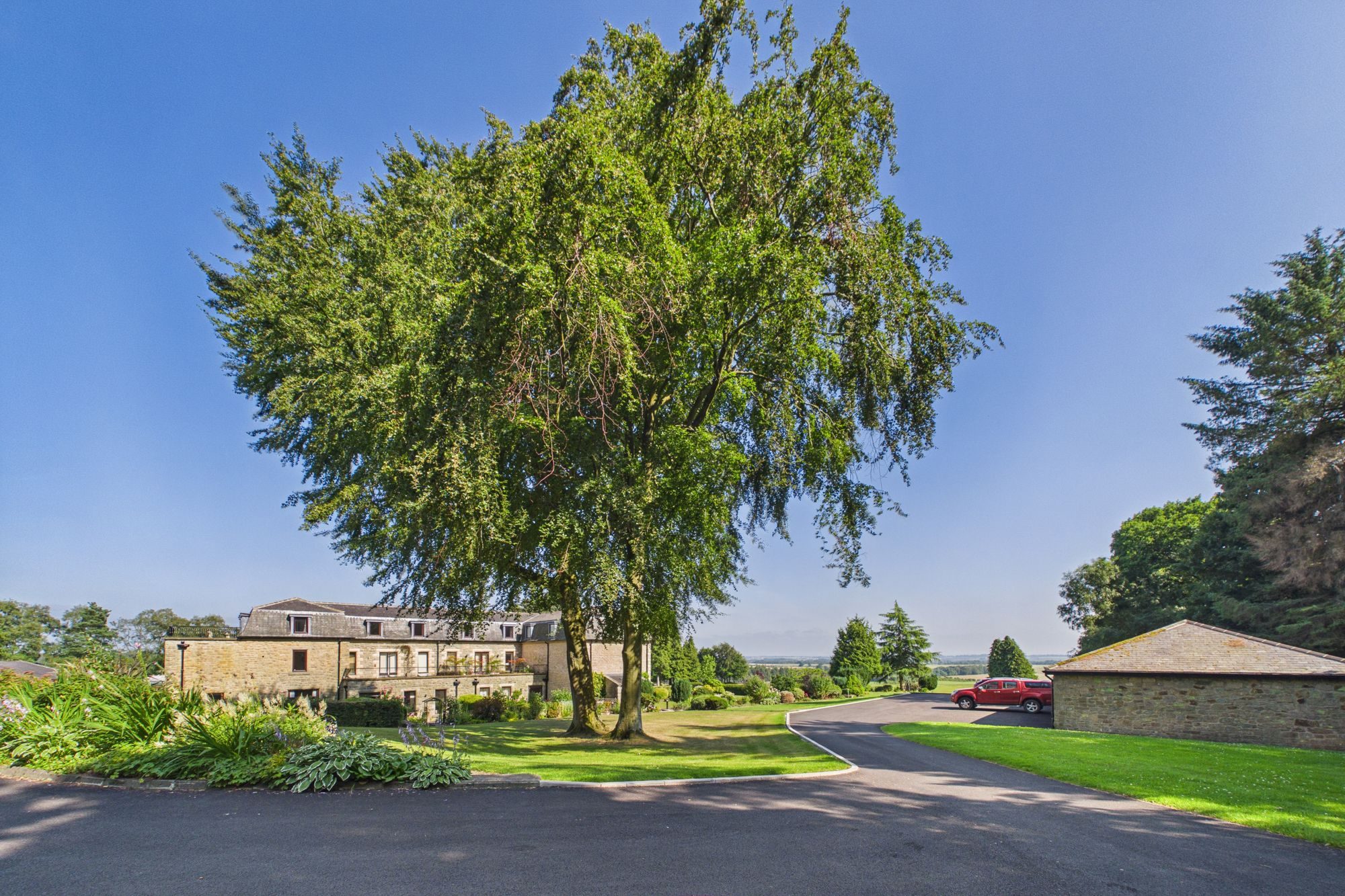Thumbnail 46