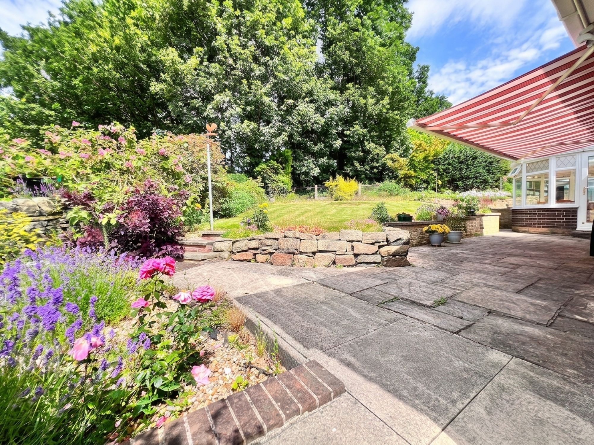 Thumbnail 30