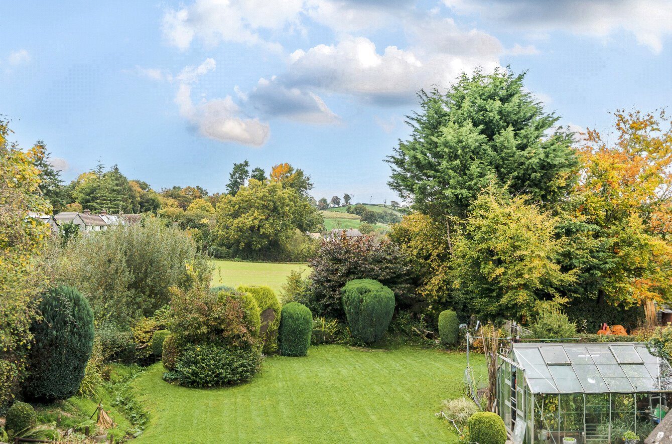 Thumbnail 17