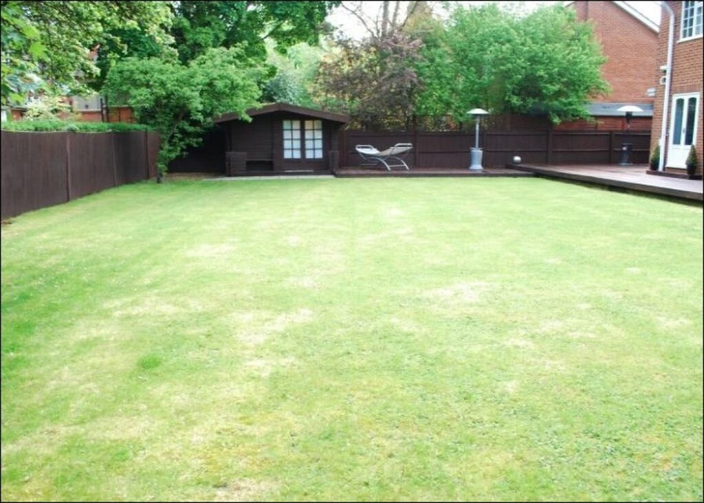 Thumbnail 17