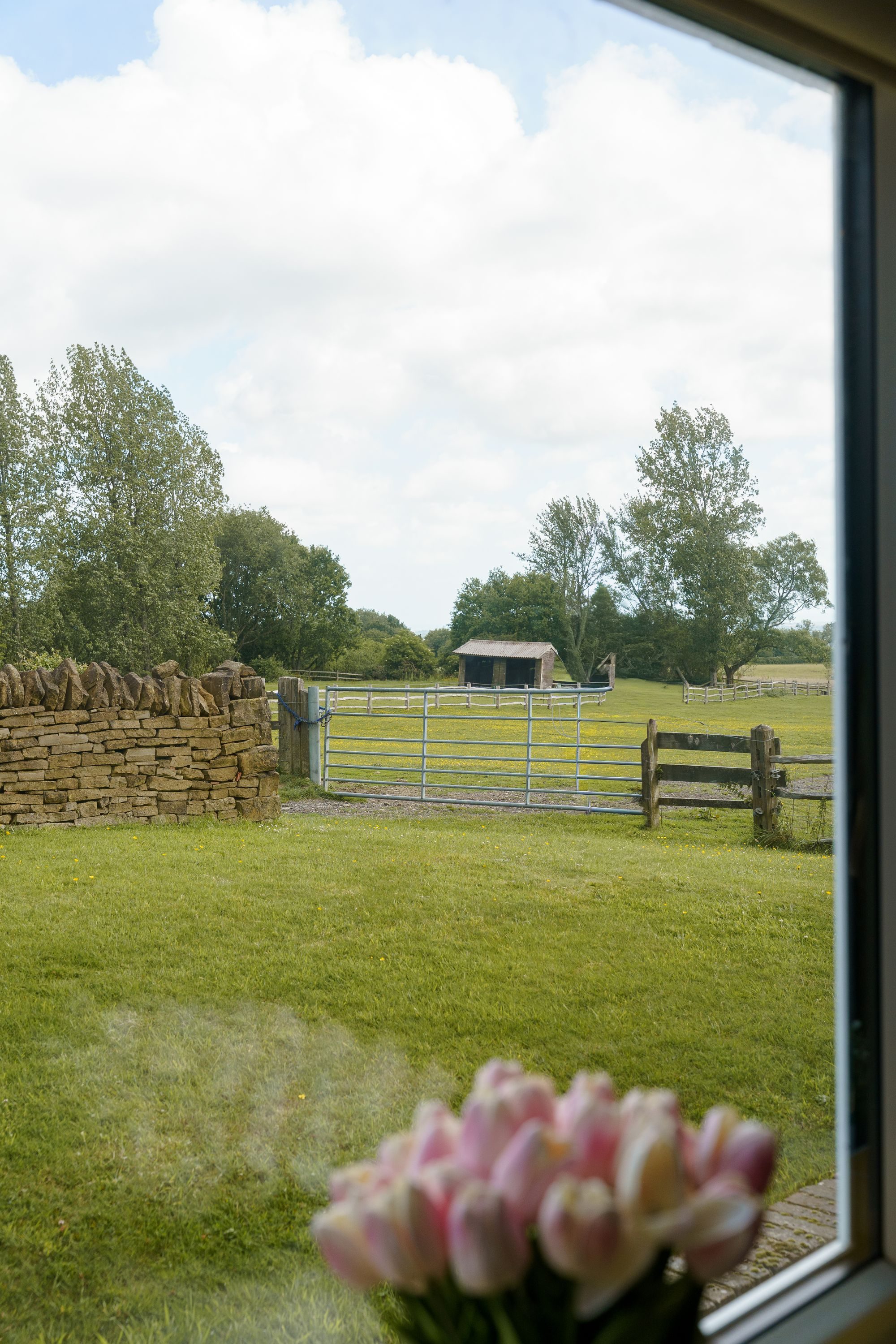 Thumbnail 33