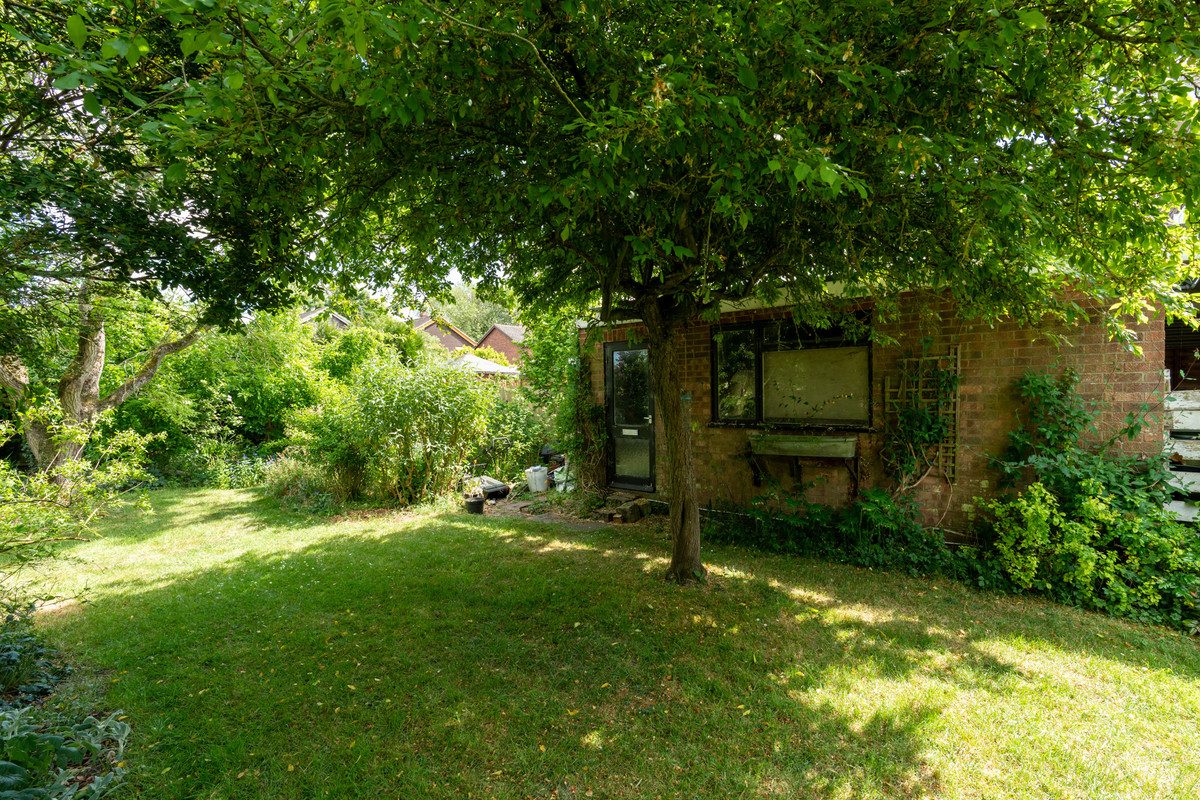 Thumbnail 16