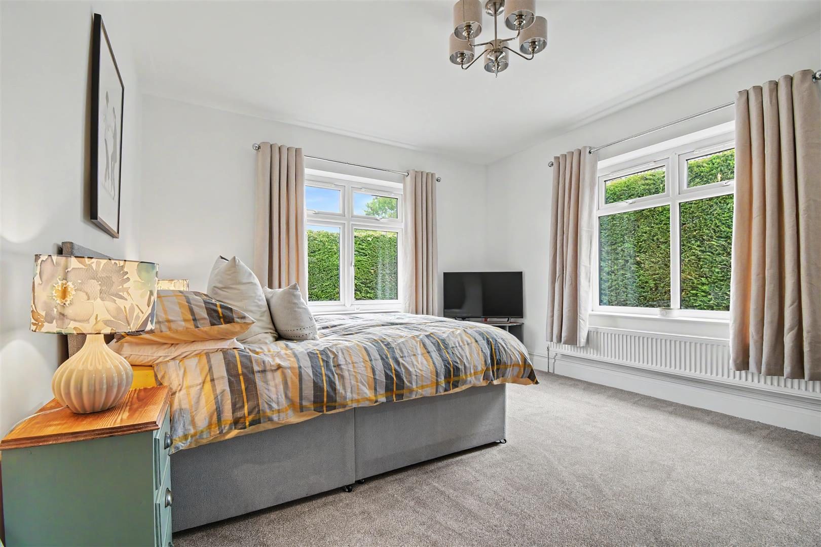 Thumbnail 17