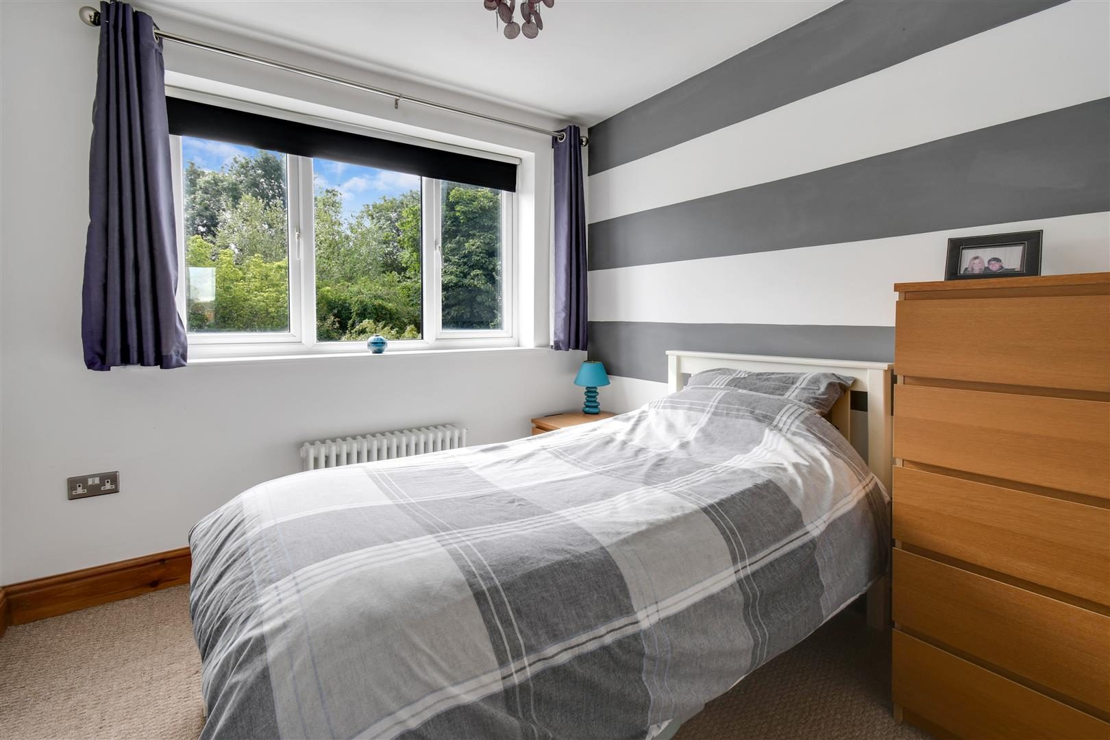 Thumbnail 14