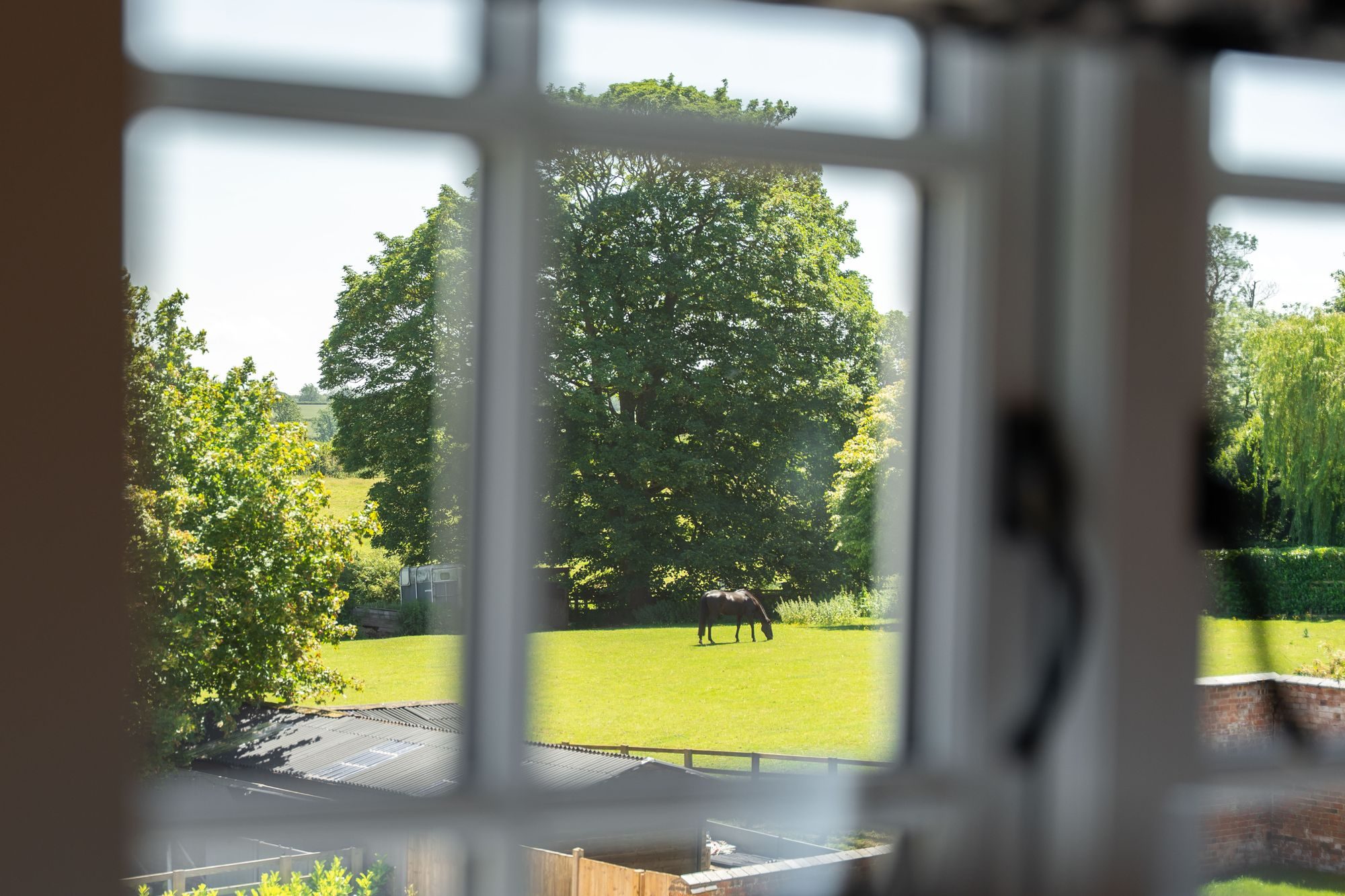 Thumbnail 16