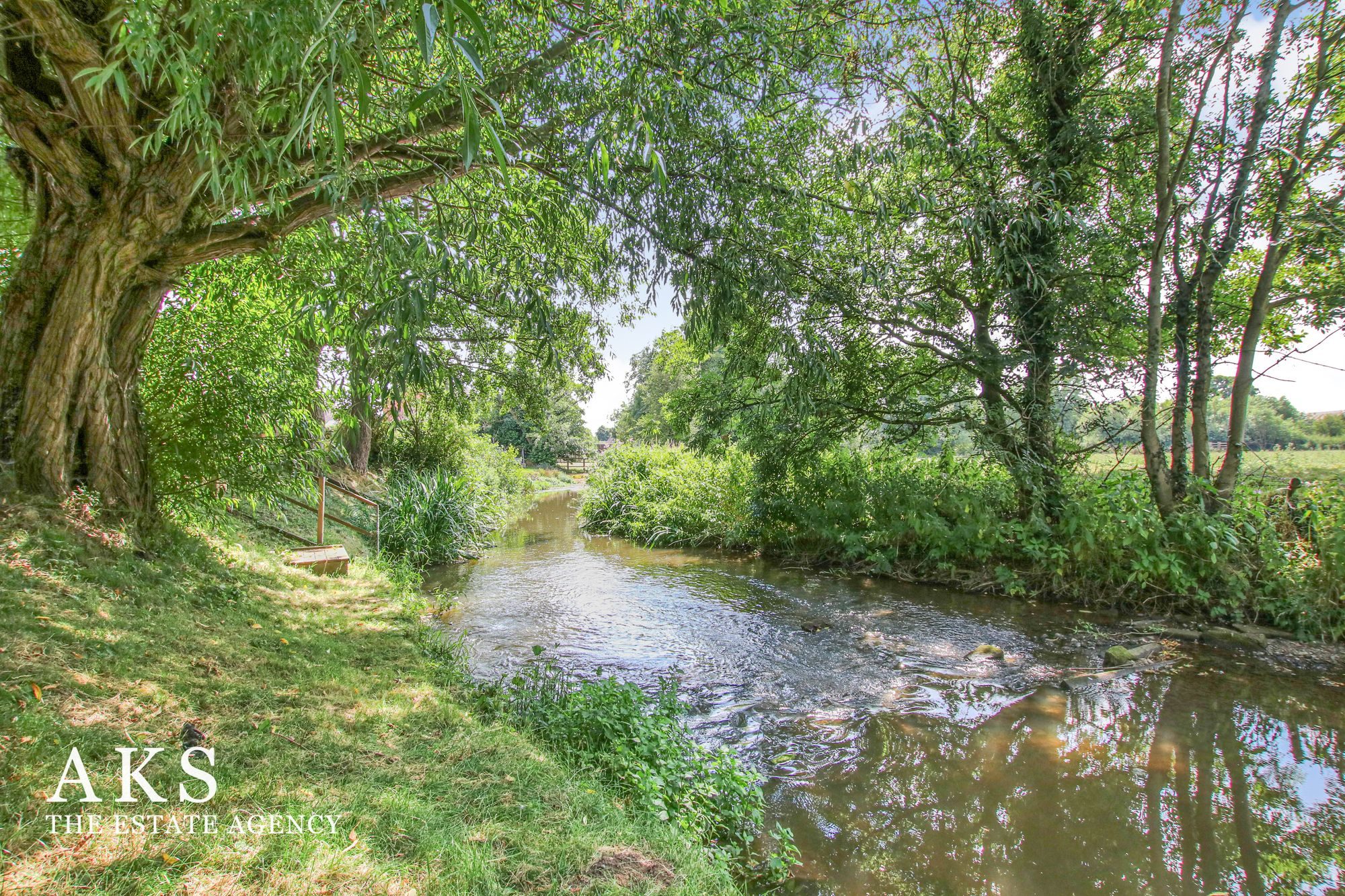 Thumbnail 55