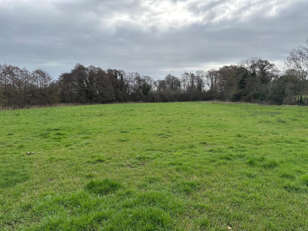 Farm Land
