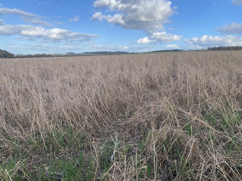 Farm Land