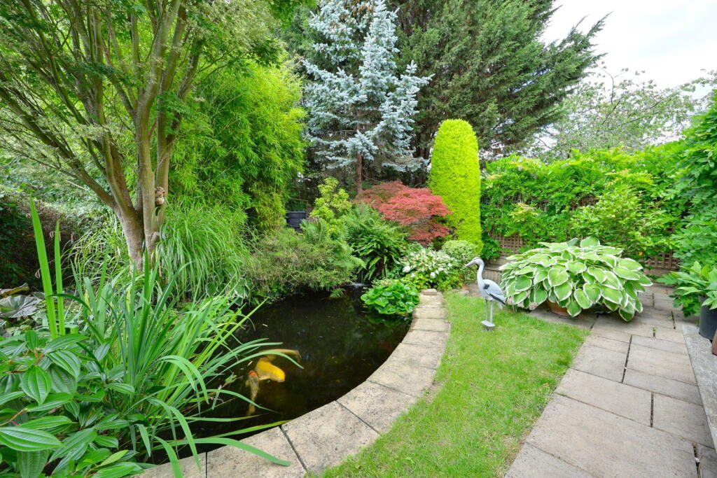 Thumbnail 37