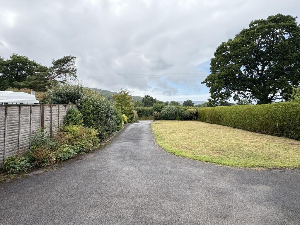 Thumbnail 54