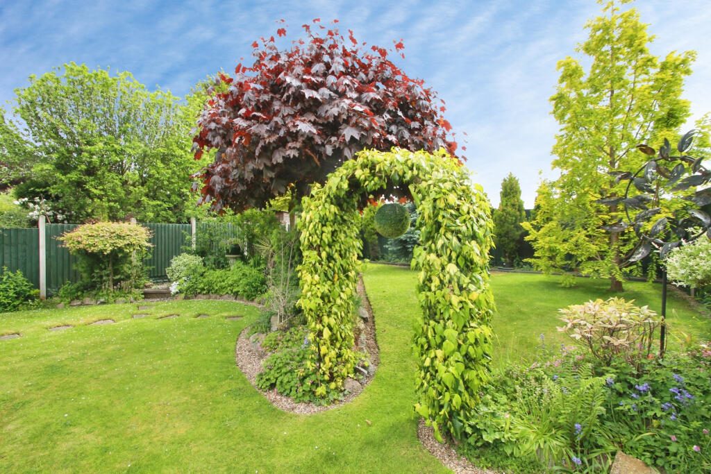 Thumbnail 22