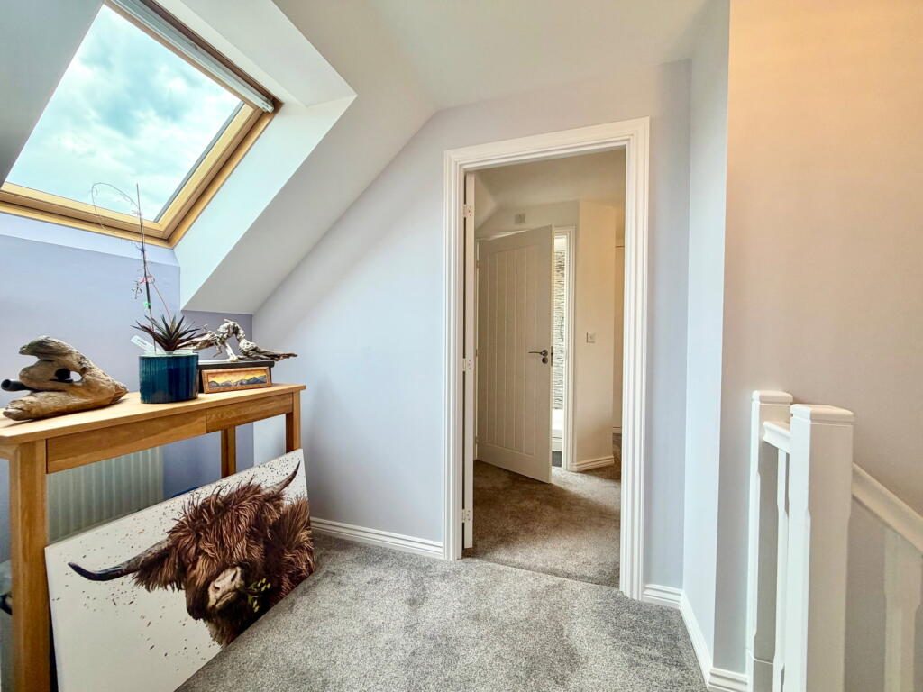 Thumbnail 19