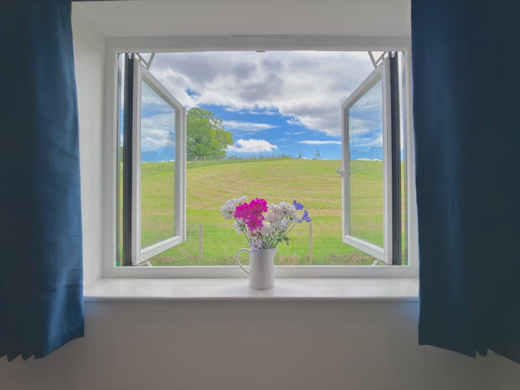 Thumbnail 13