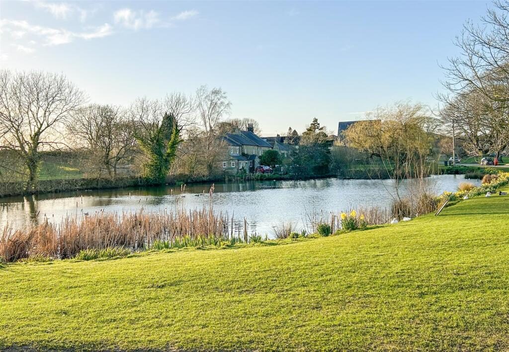 Thumbnail 17