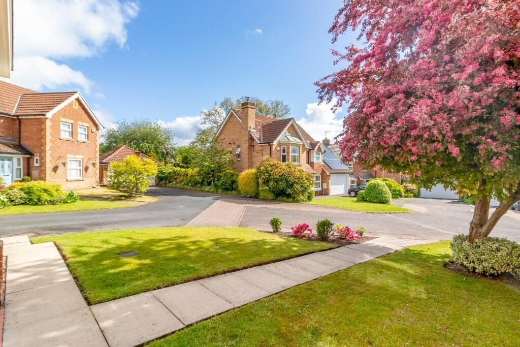 Thumbnail 34