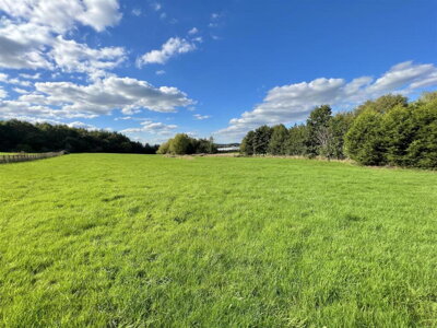 Property on Bromsgrove Road, DY9 9QB