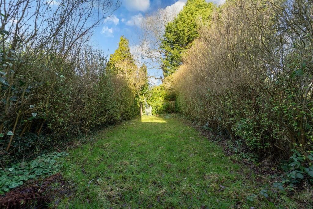 Thumbnail 39
