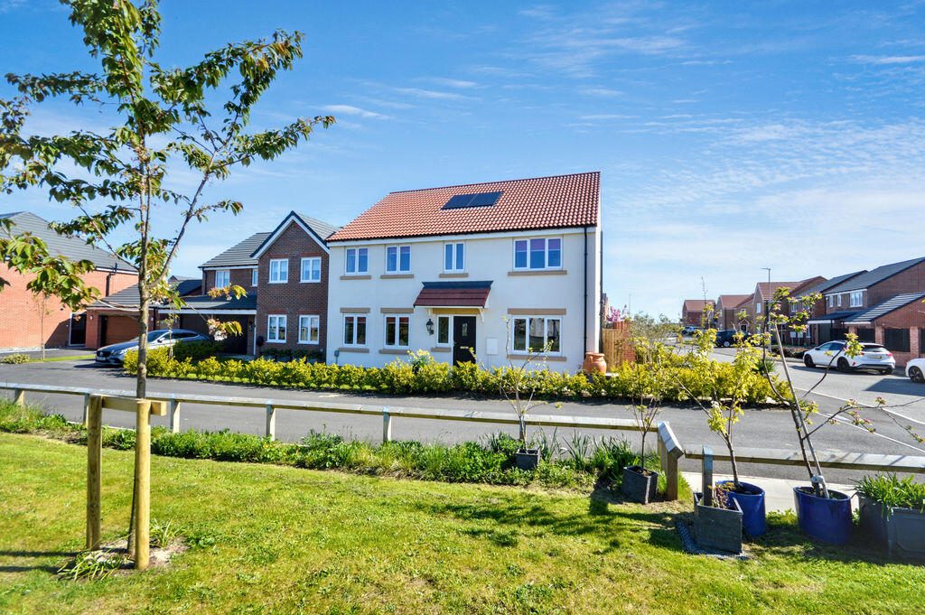 Detached House