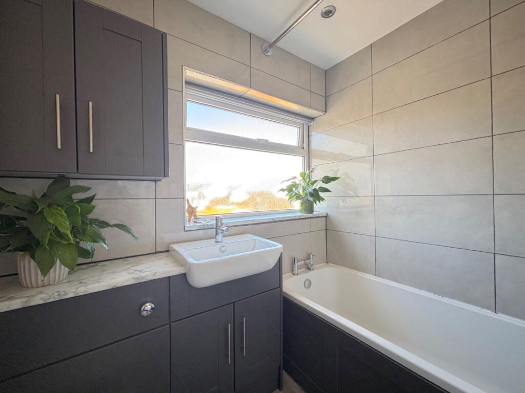 Thumbnail 29