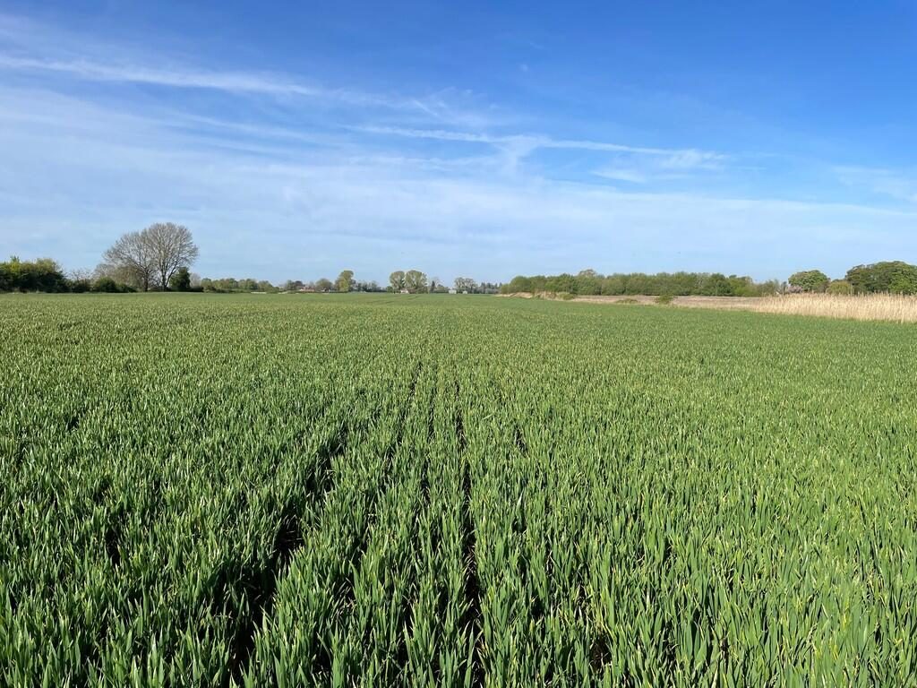 Farm Land
