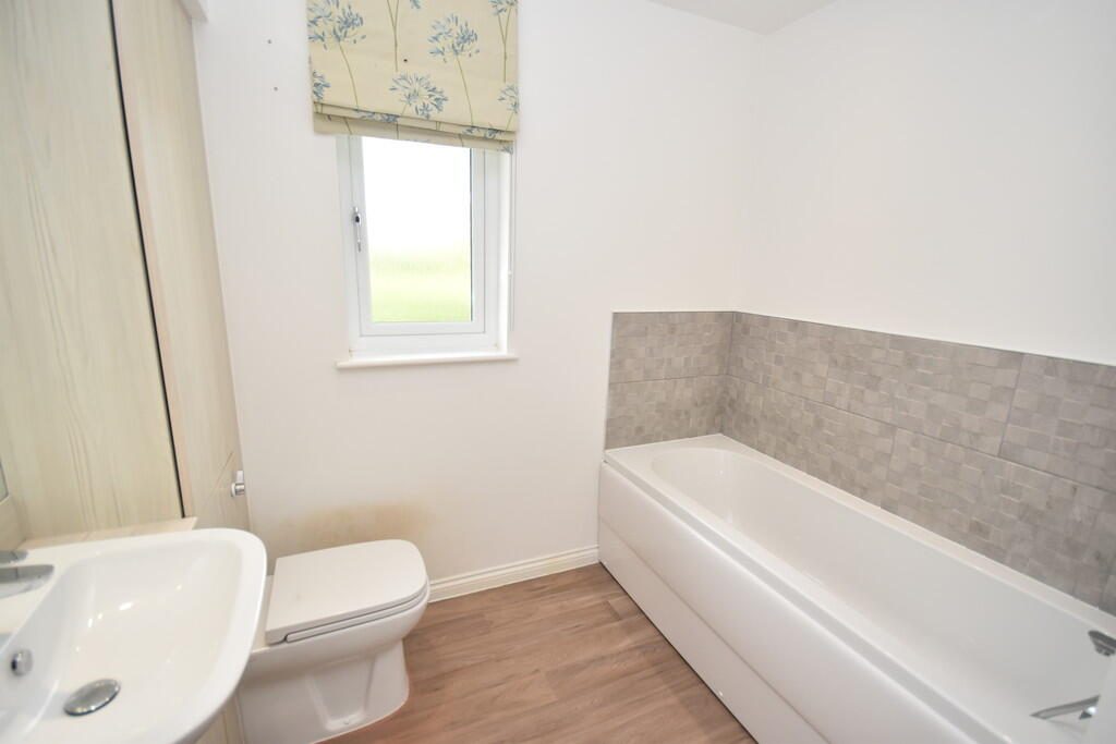 Thumbnail 17