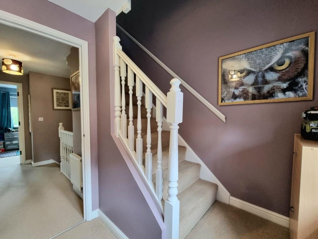 Thumbnail 20